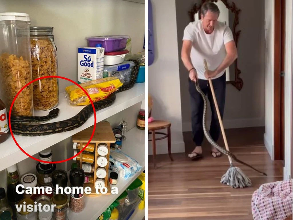 Amazing line and length: Cricket legend Glenn McGrath legend serenely eliminates snakes from home